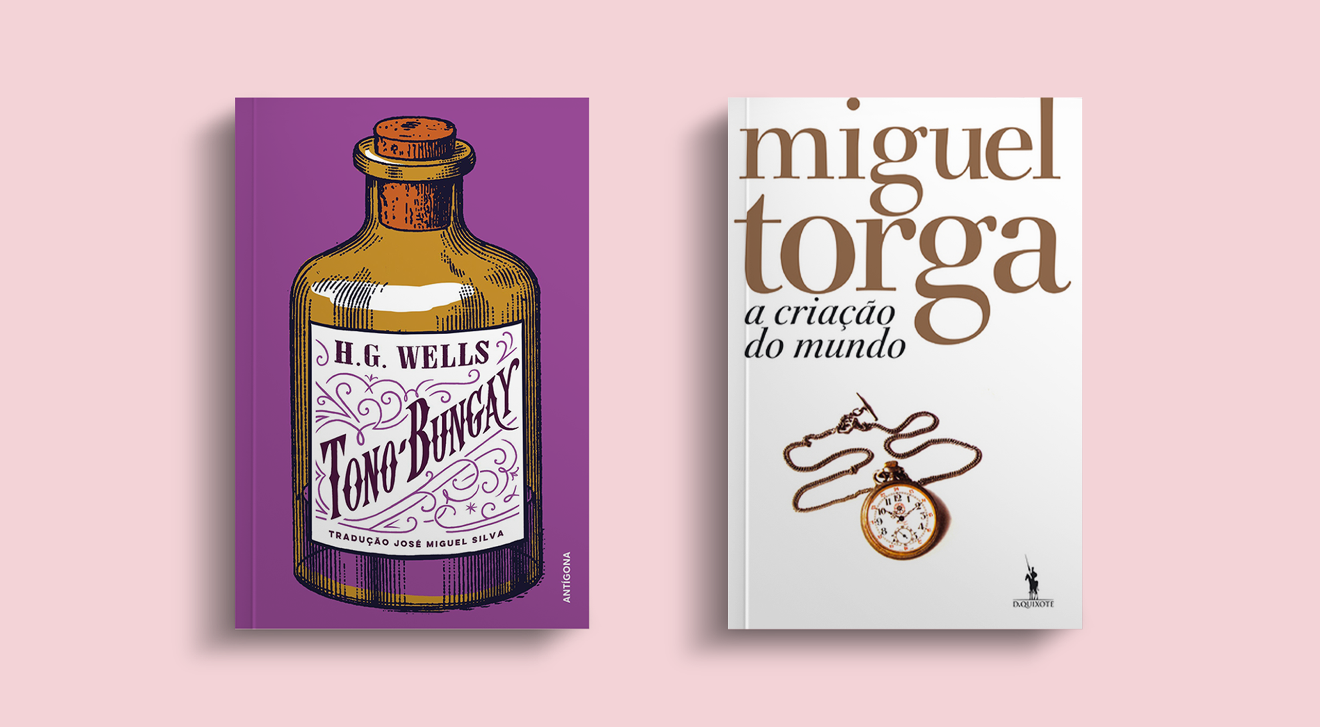 "A Criação do Mundo", de Miguel Torga e "Tono-Bungay", de H. G. Wells são as sugestões dos livreiros da Livraria Lello para este mês